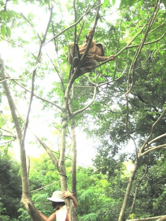 これ以上すすむと危ないときは注意