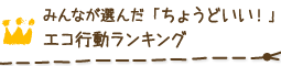 みんなが選んだ「ちょうどいい！」エコ行動ランキング